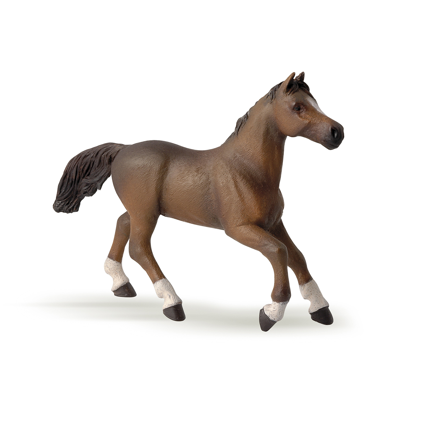 Anglo-Arab mare