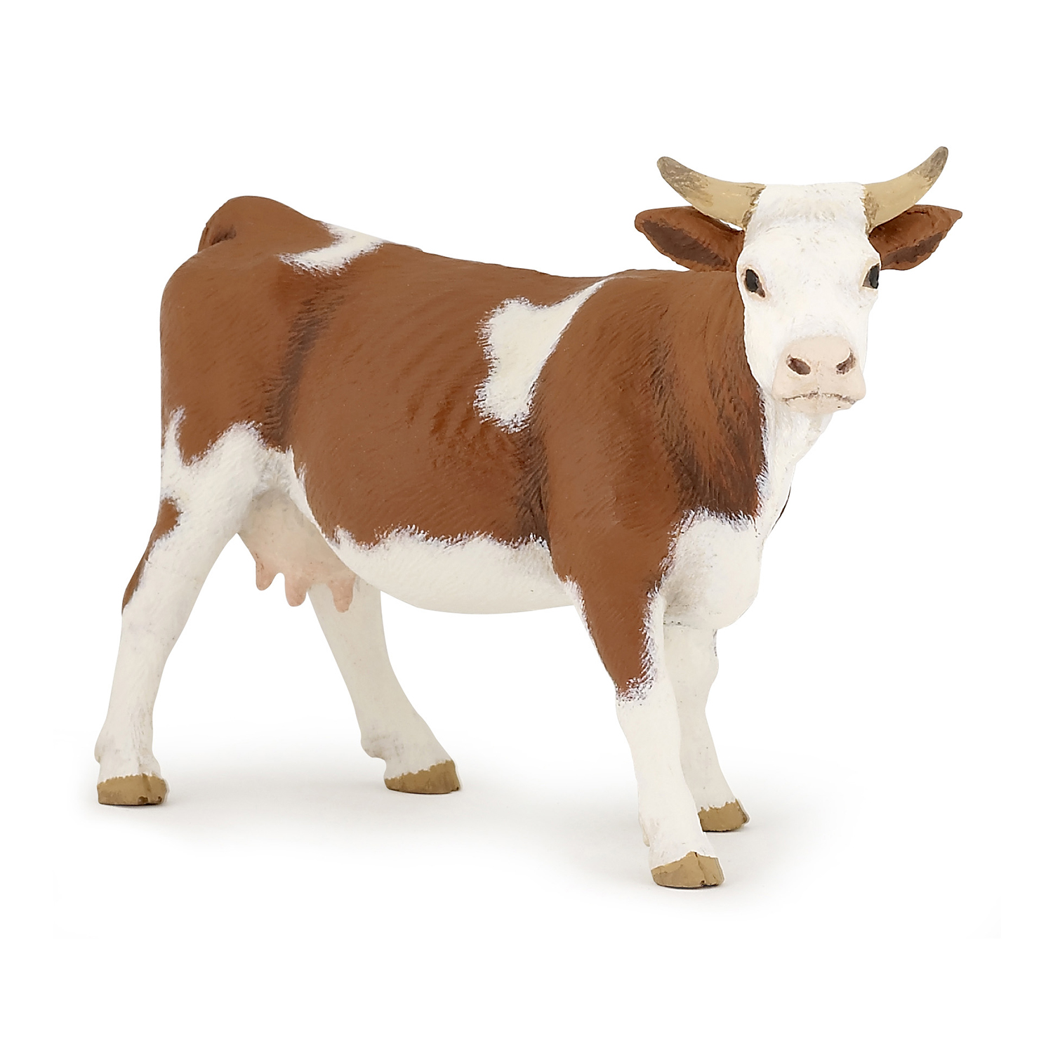 Simmental cow