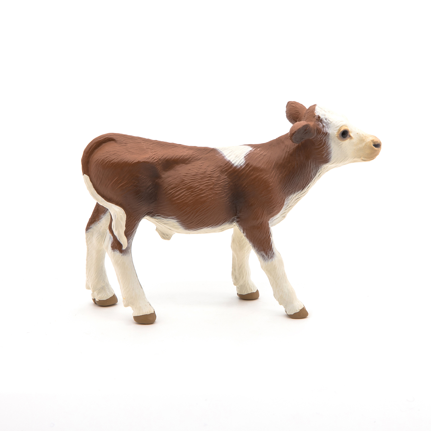 Simmental calf