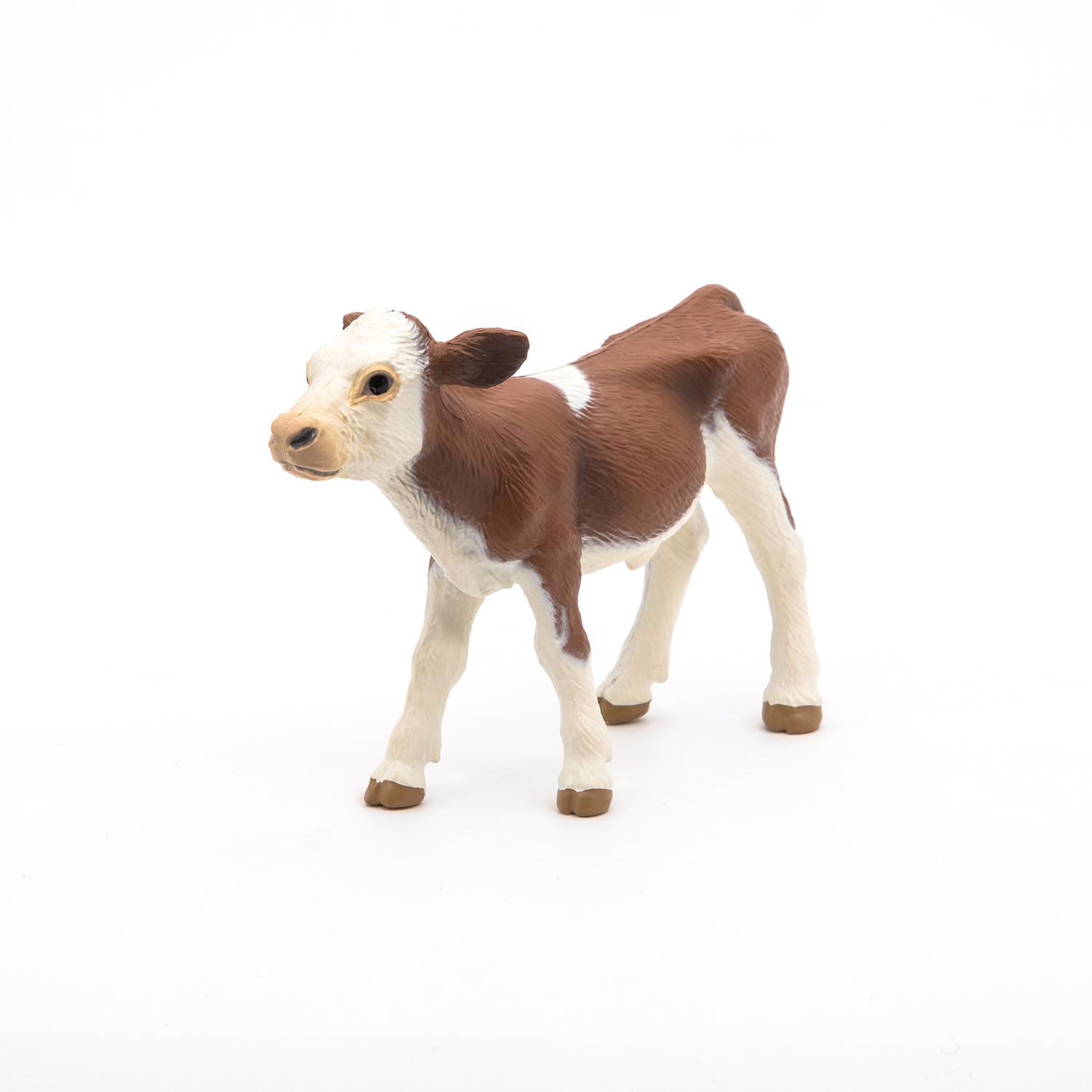 Simmental calf