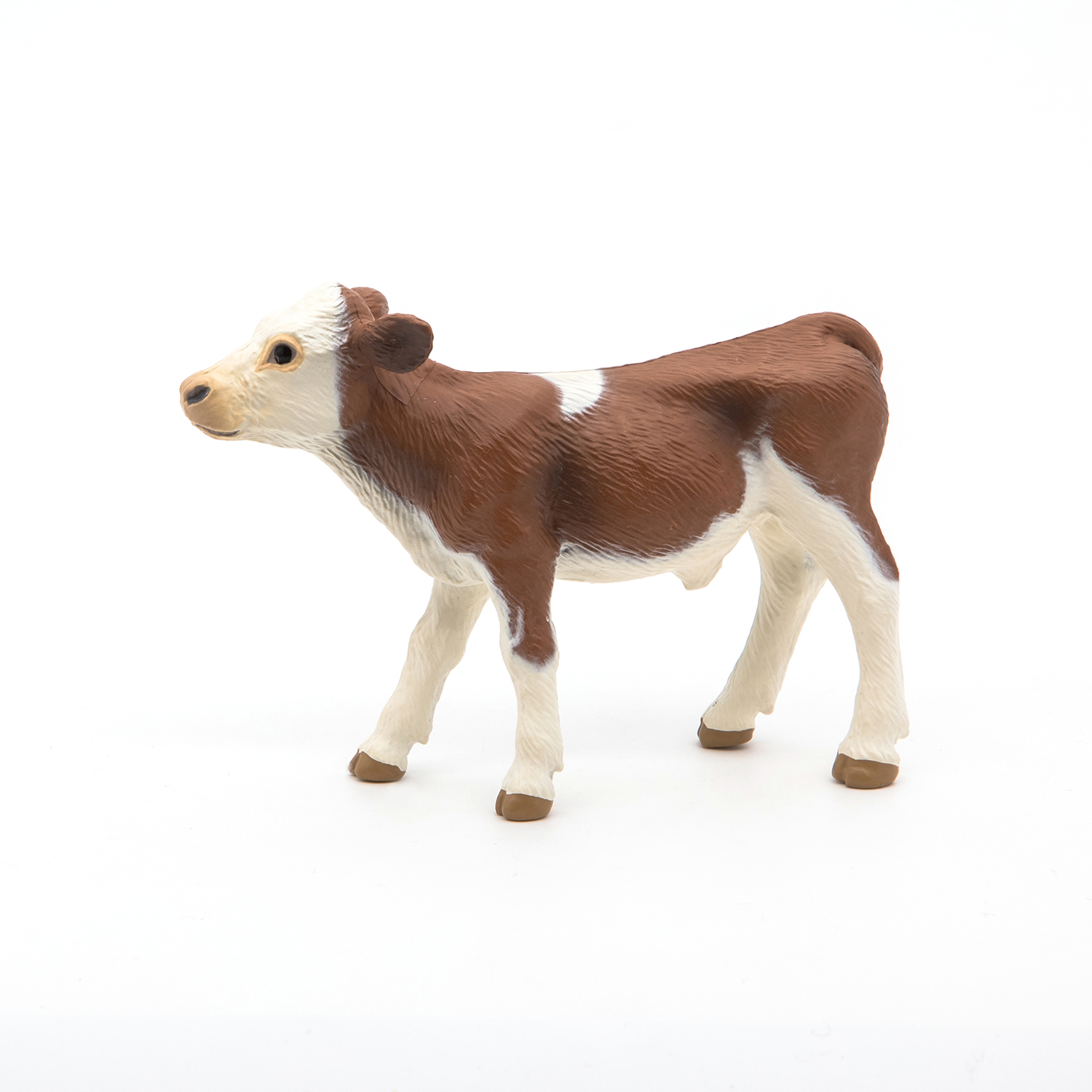 Simmental calf