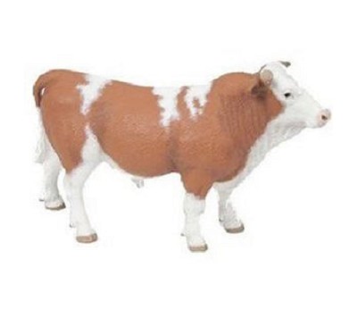 Simmental bull