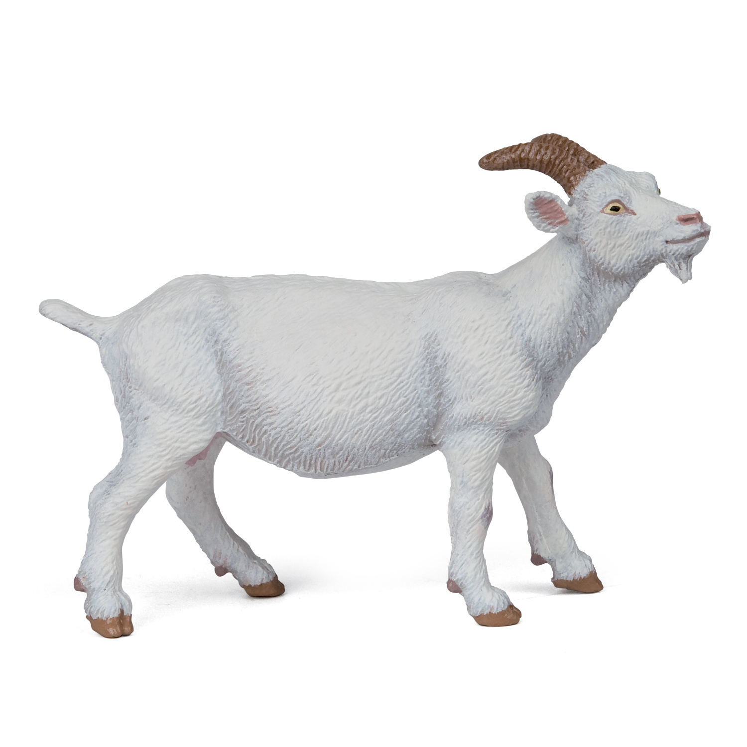White nanny goat