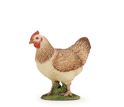 Red hen