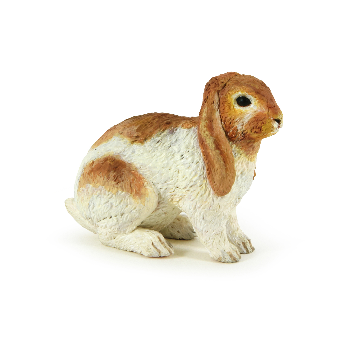 Lop rabbit