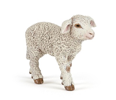 Merinos lamb