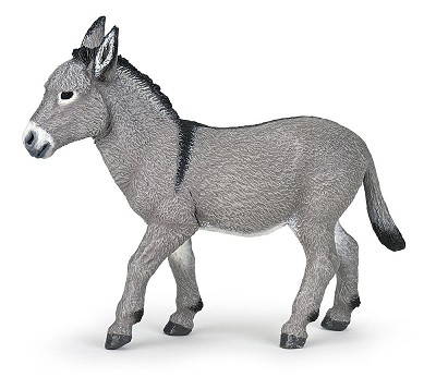 Provence donkey