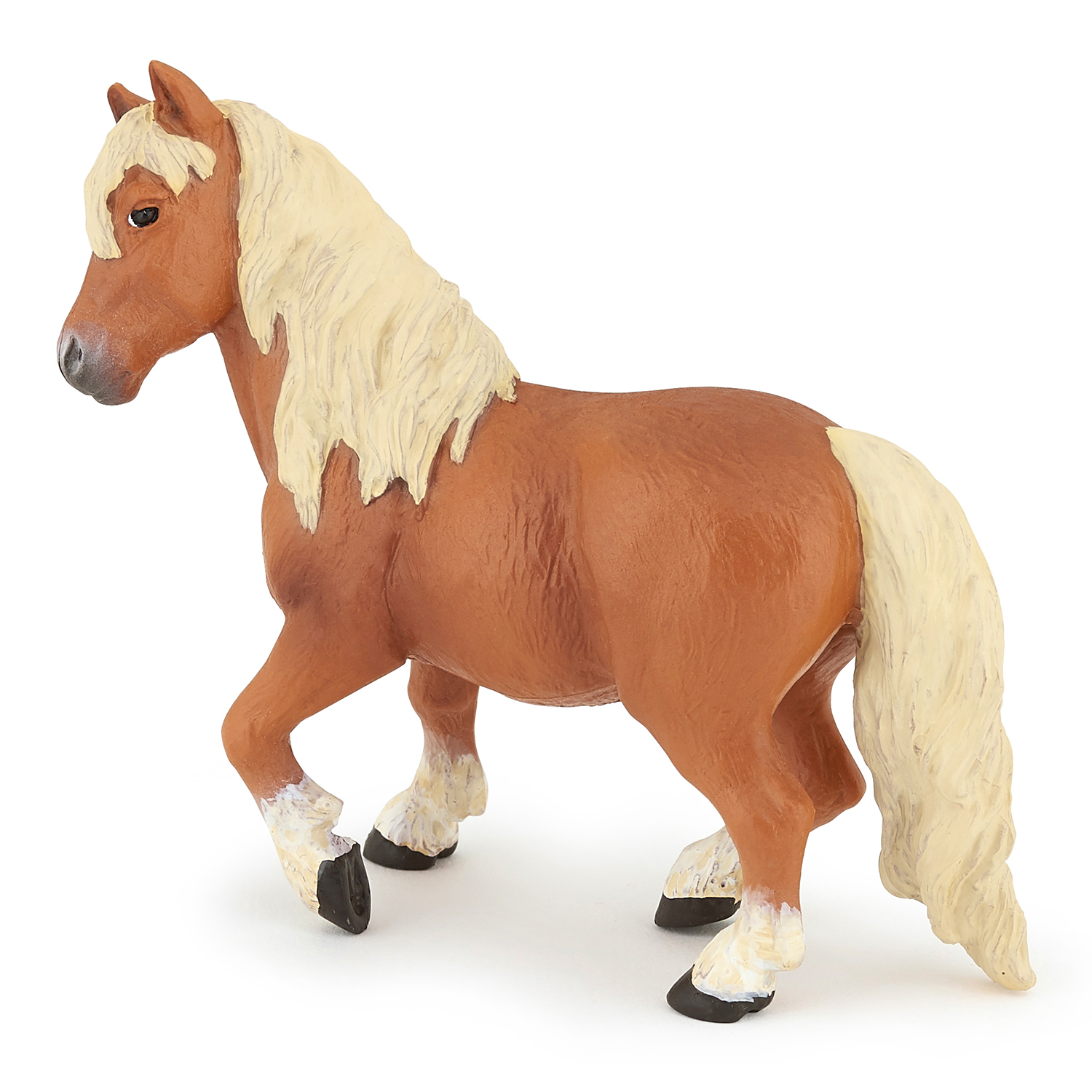 Shetland pony