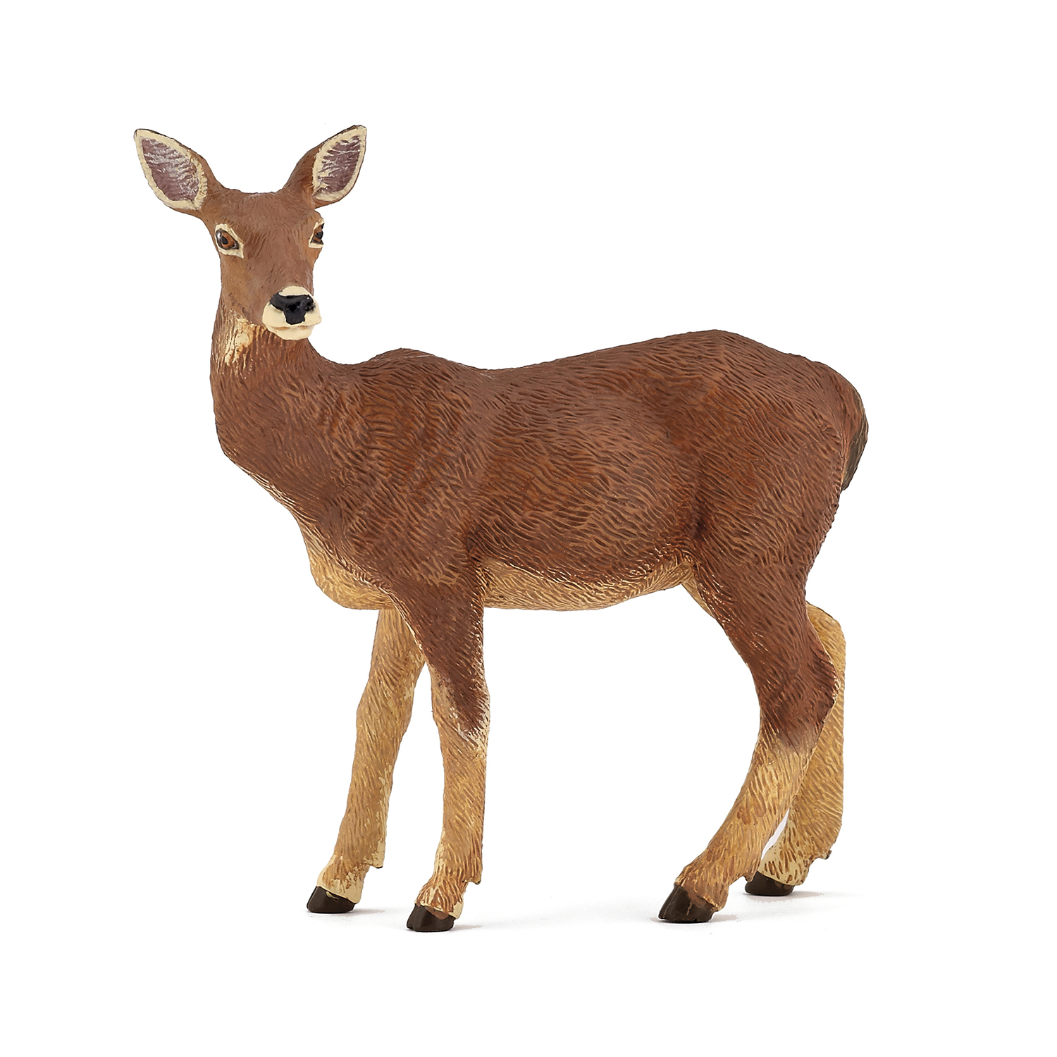 Doe