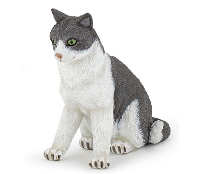 Sitting down cat