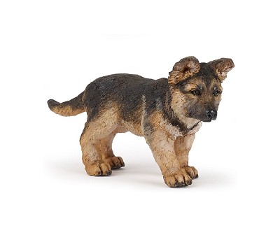 German shepherd pup