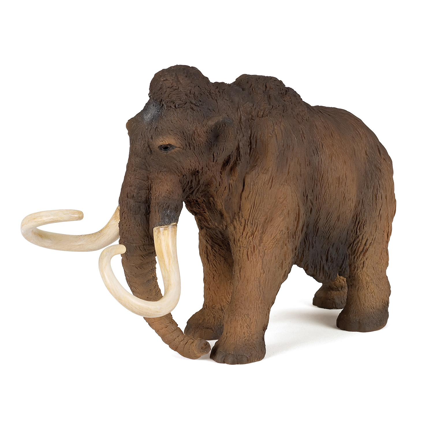Mammoth