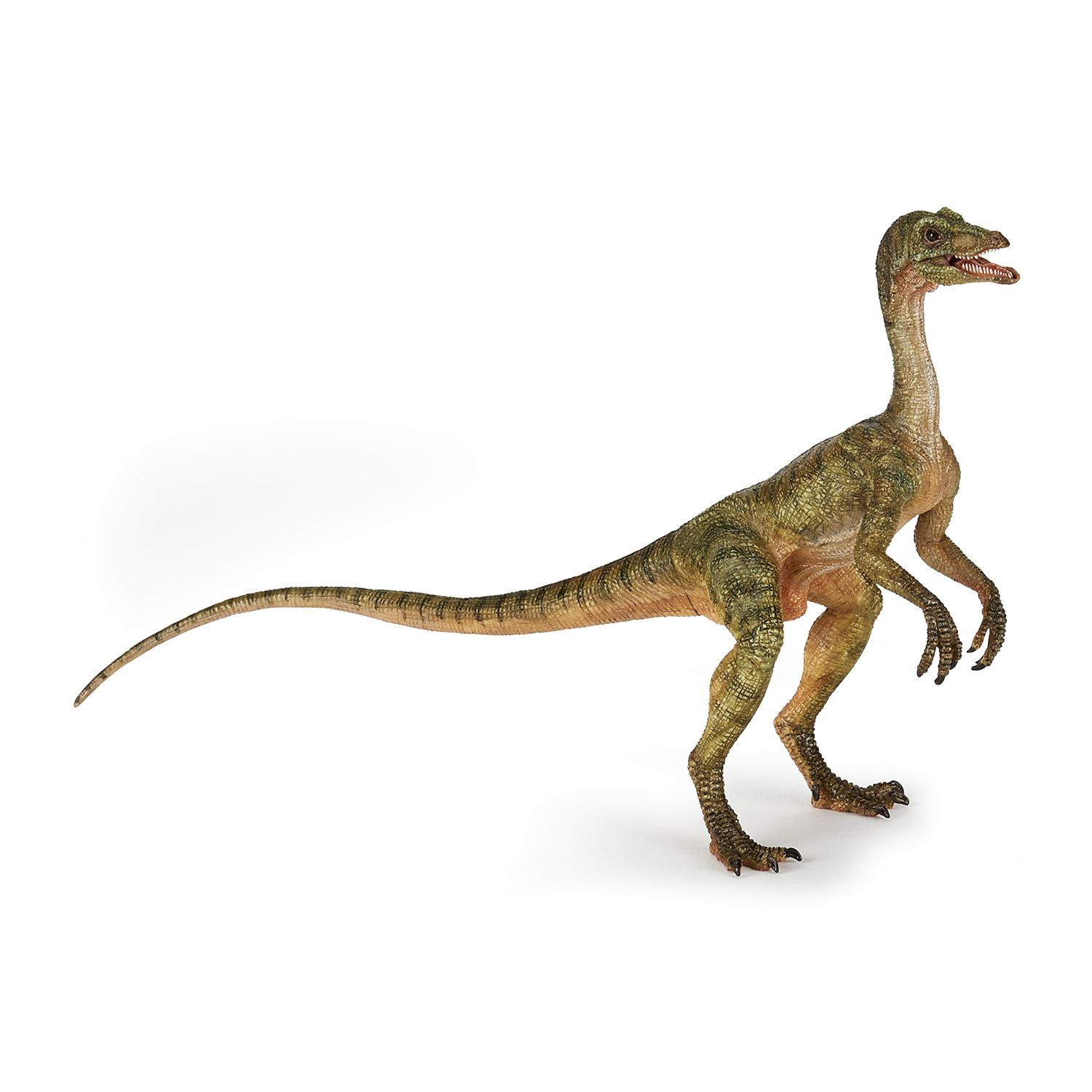 Compsognathus