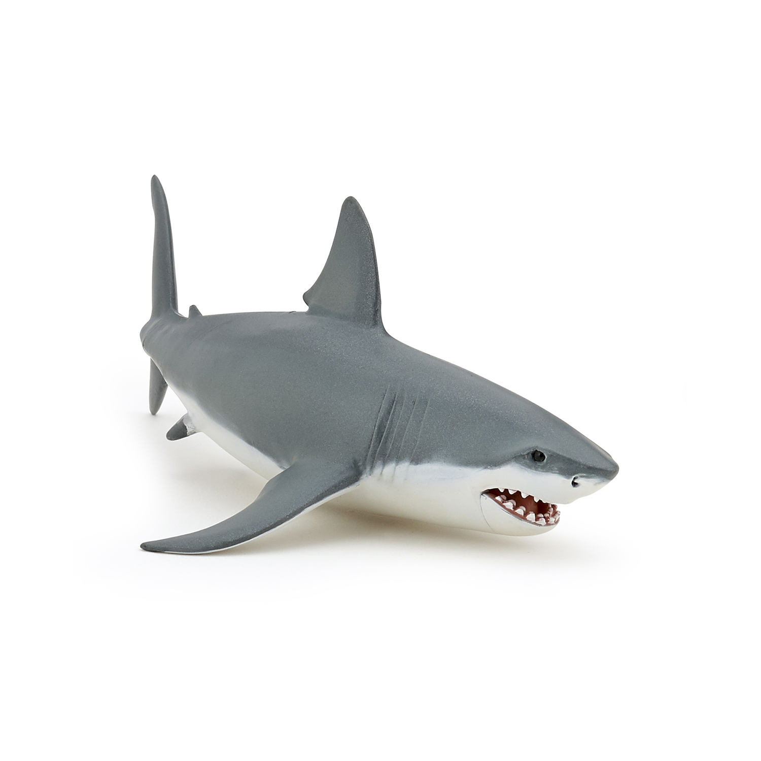 White shark