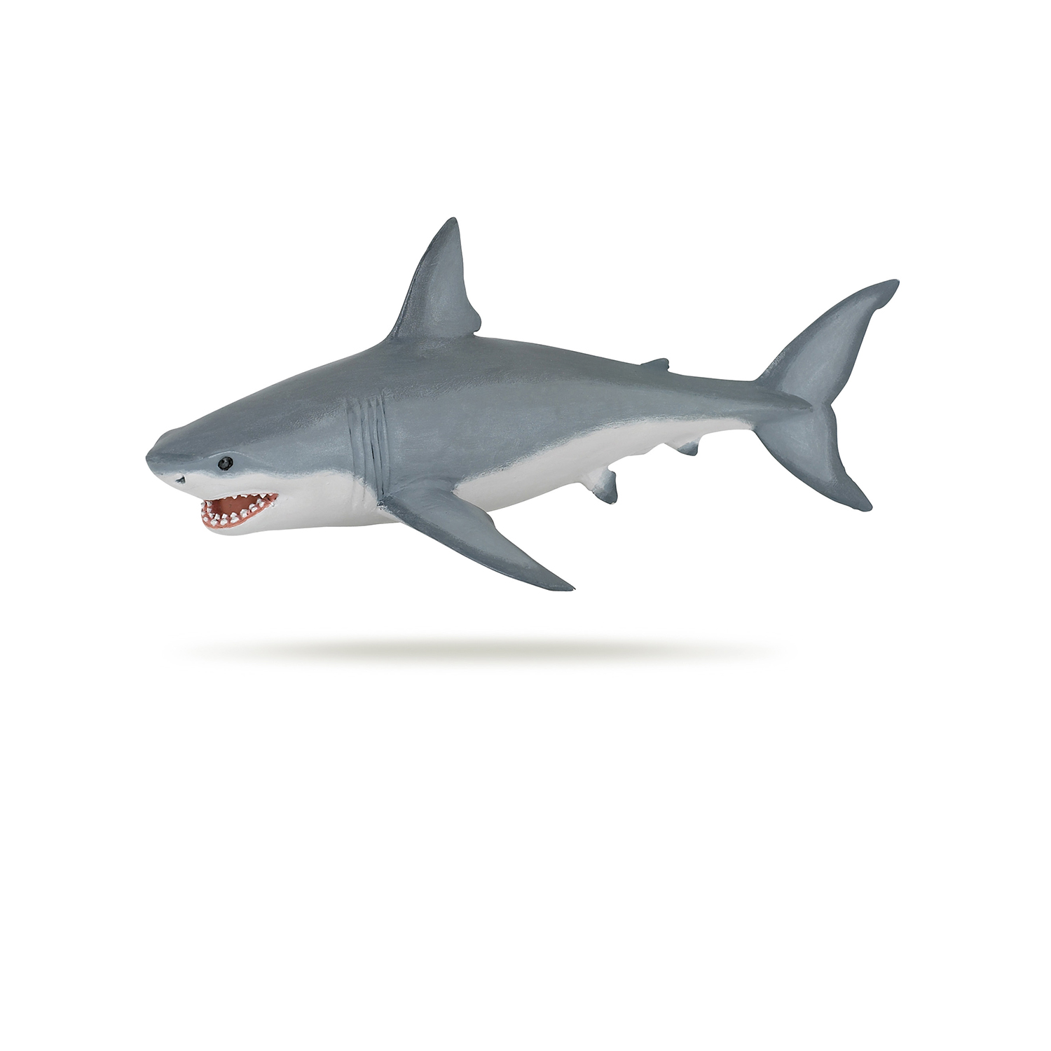 White shark