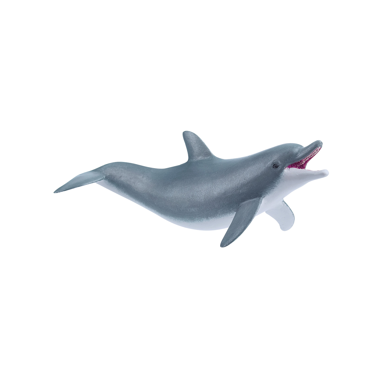 Playing dolphin