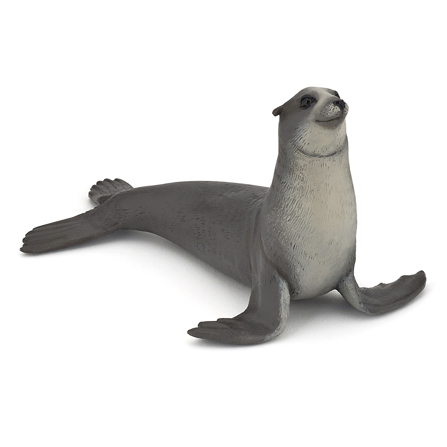 Sea lion