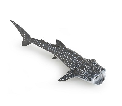 Whale shark
