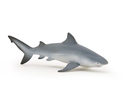 Bull shark