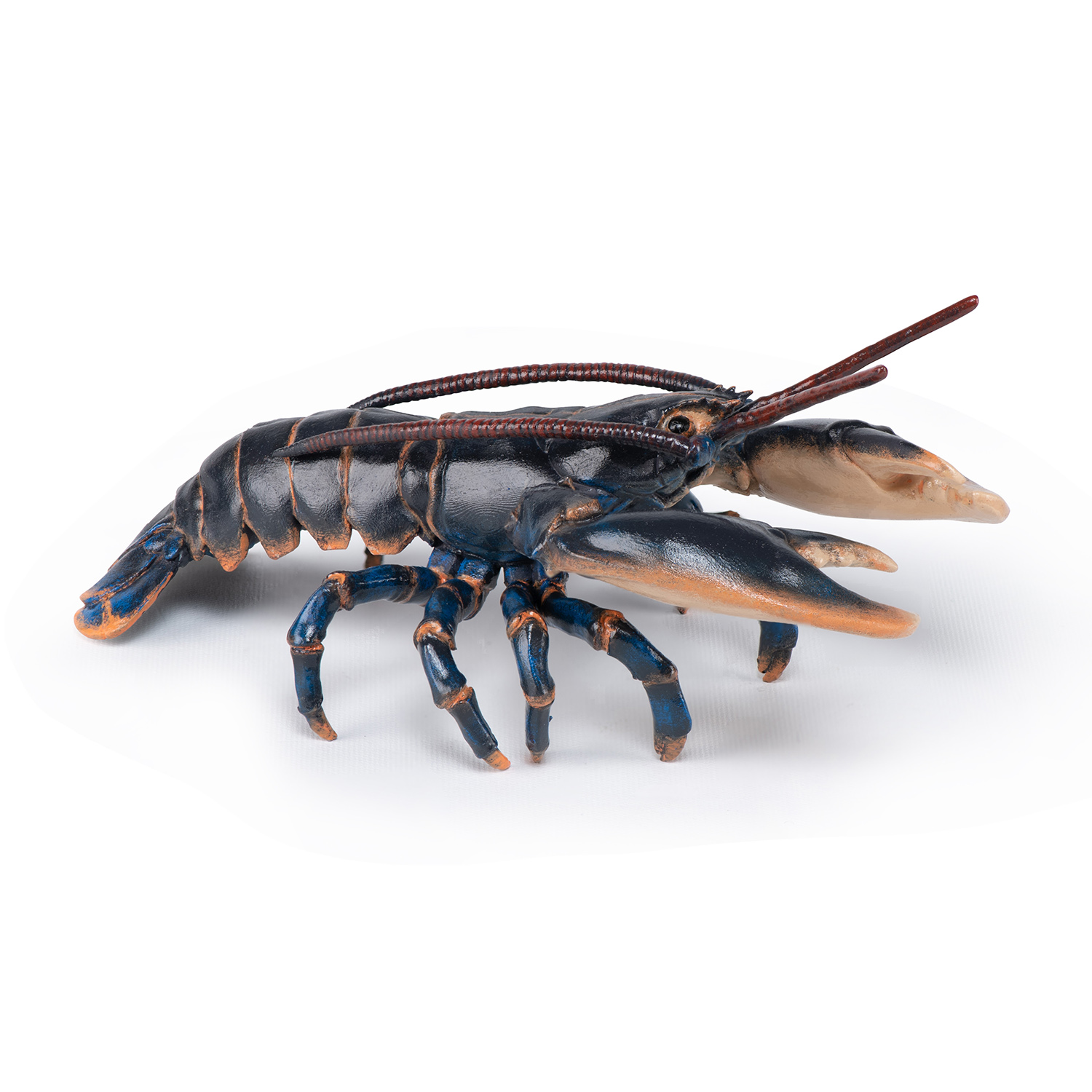 lobster