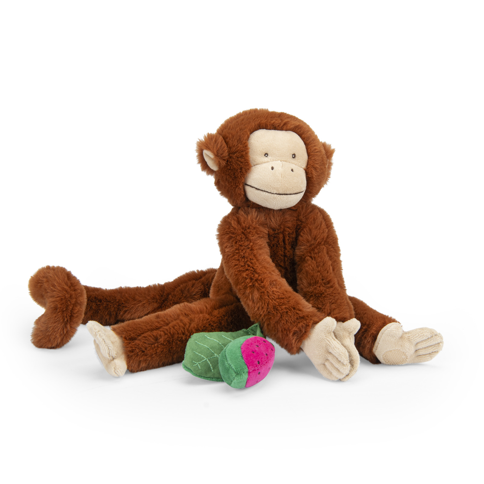 Hanging activity monkey La forêt Mawa