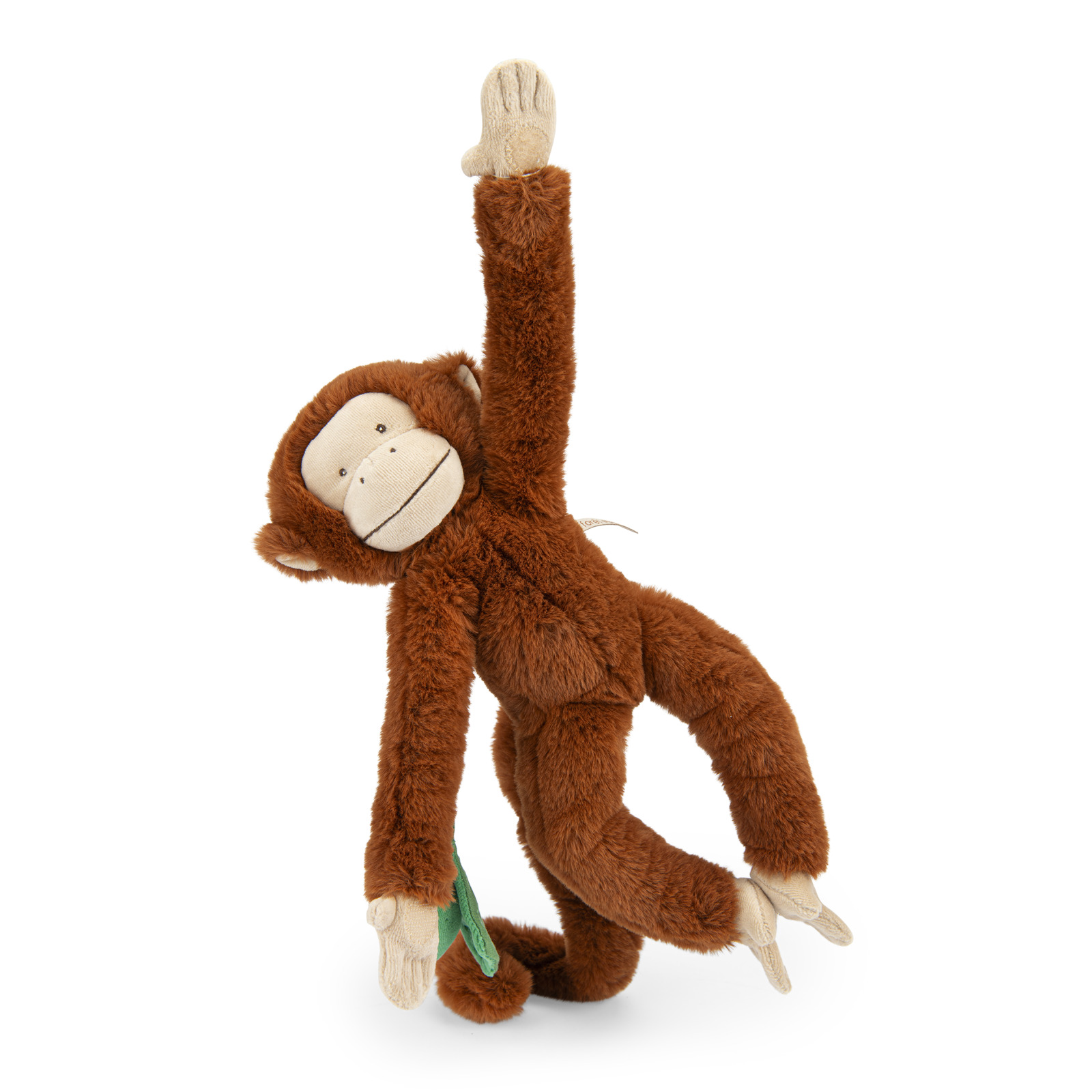 Hanging activity monkey La forêt Mawa