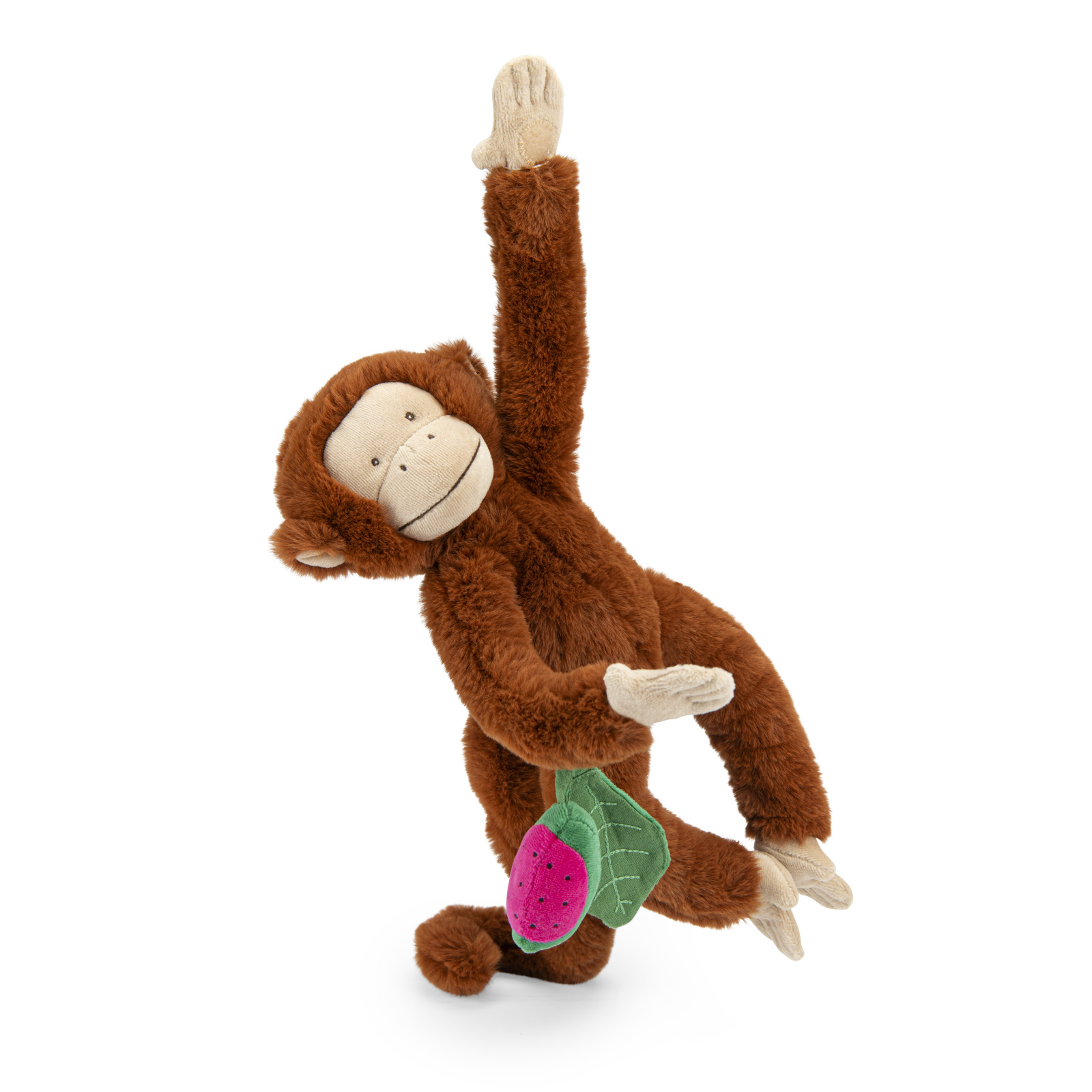Hanging activity monkey La forêt Mawa