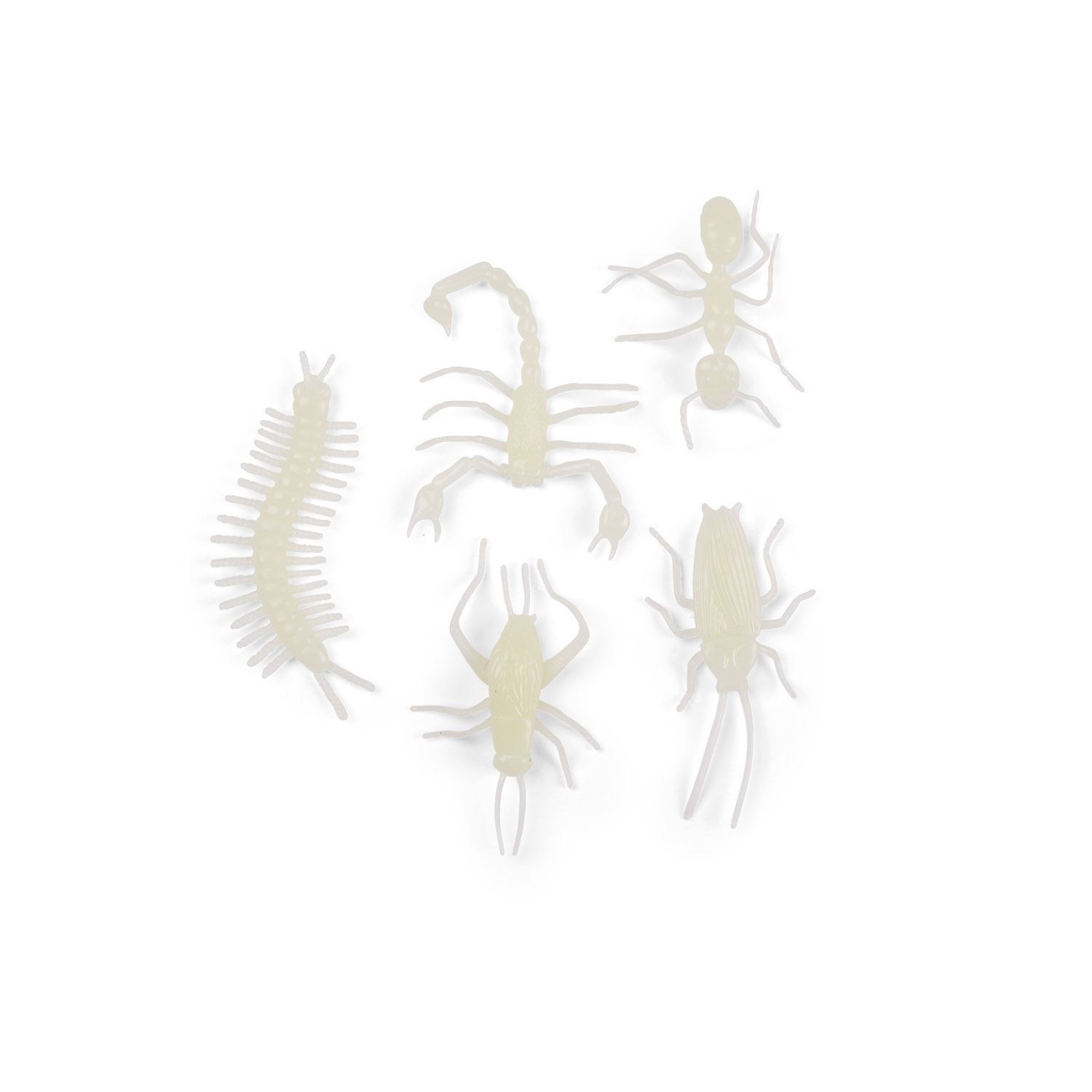 5 glow-in-the-dark insects Les Petites Merveilles /9
