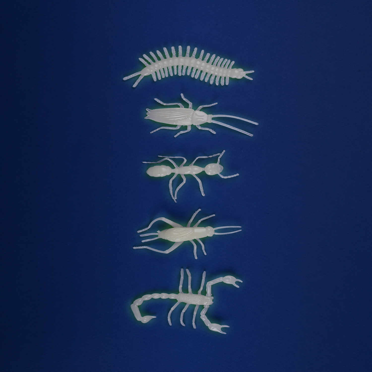 5 glow-in-the-dark insects Les Petites Merveilles /9