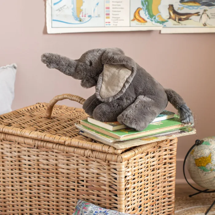 Small elephant Tout autour du monde