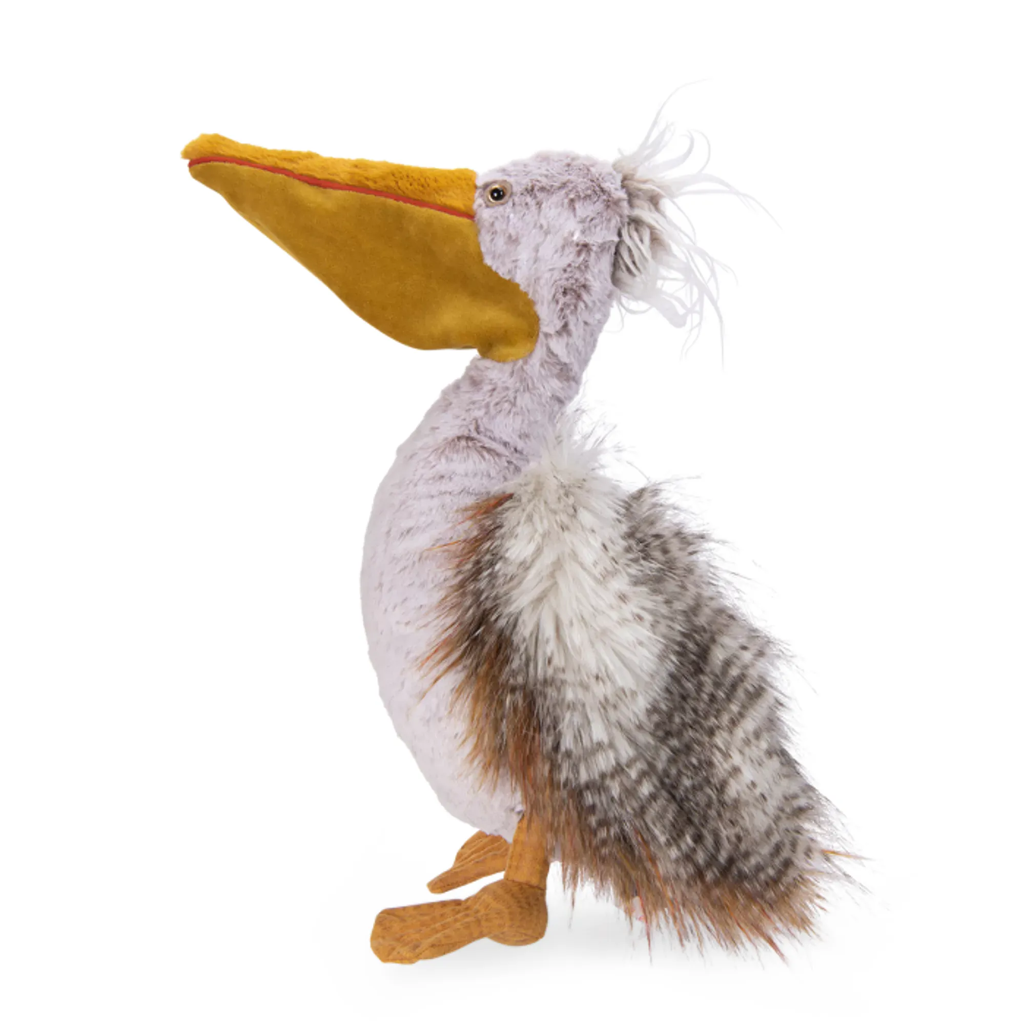 Pelican Tout autour du monde