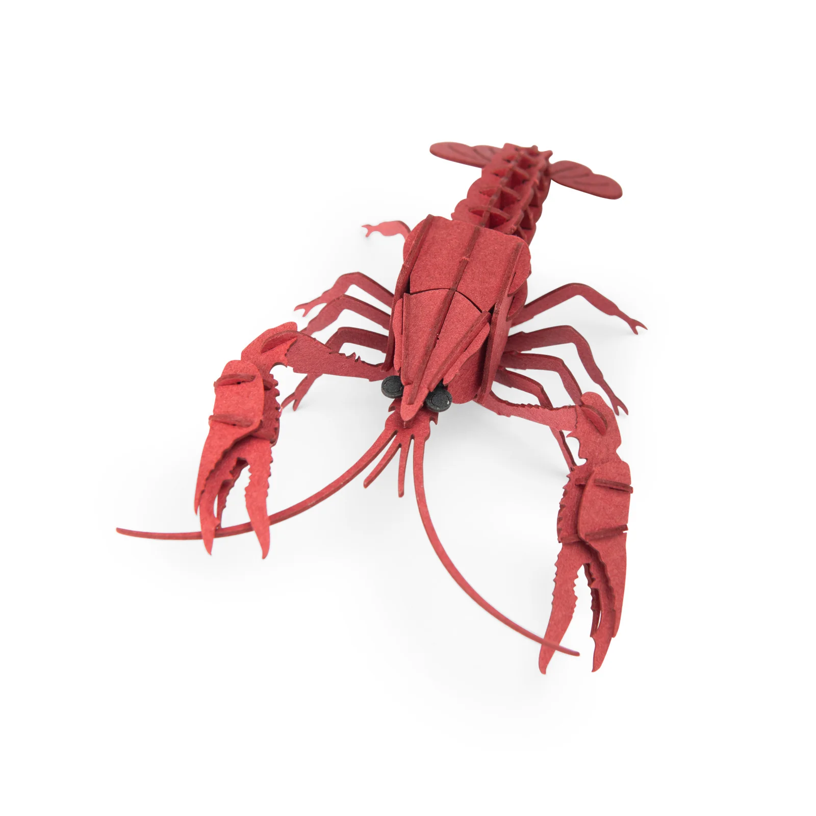 Crayfish 3D puzzle Tout autour du monde
