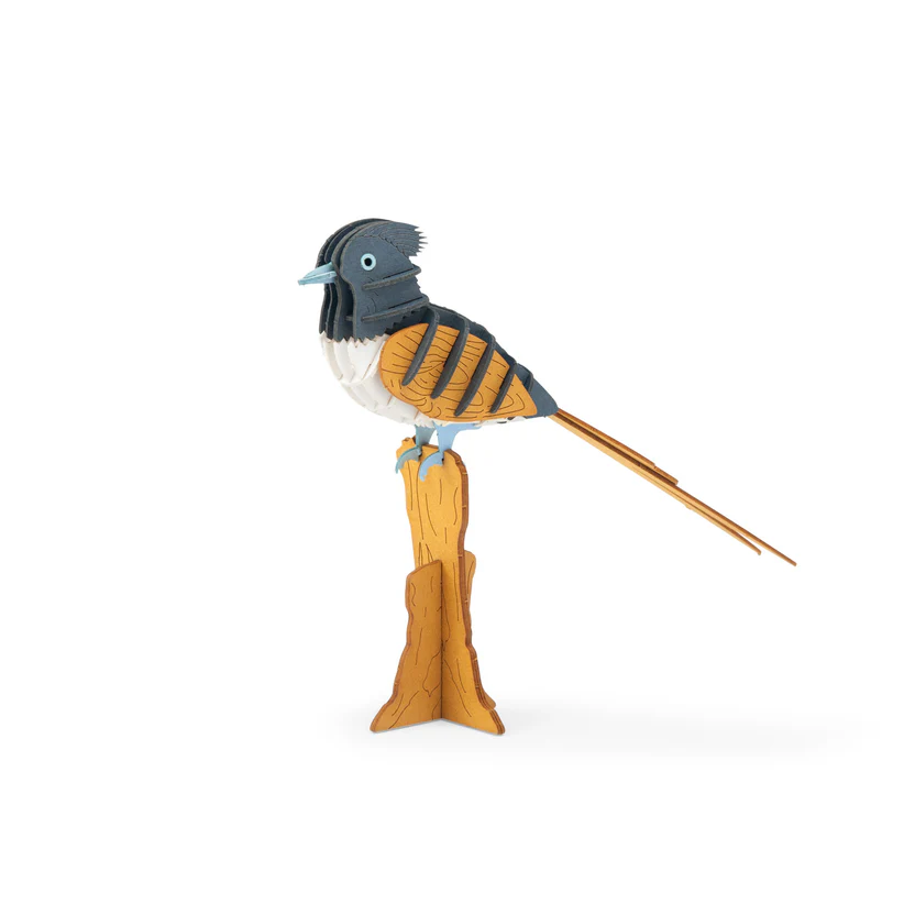 Indian paradise flycatcher 3D puzzle Tout autour du monde