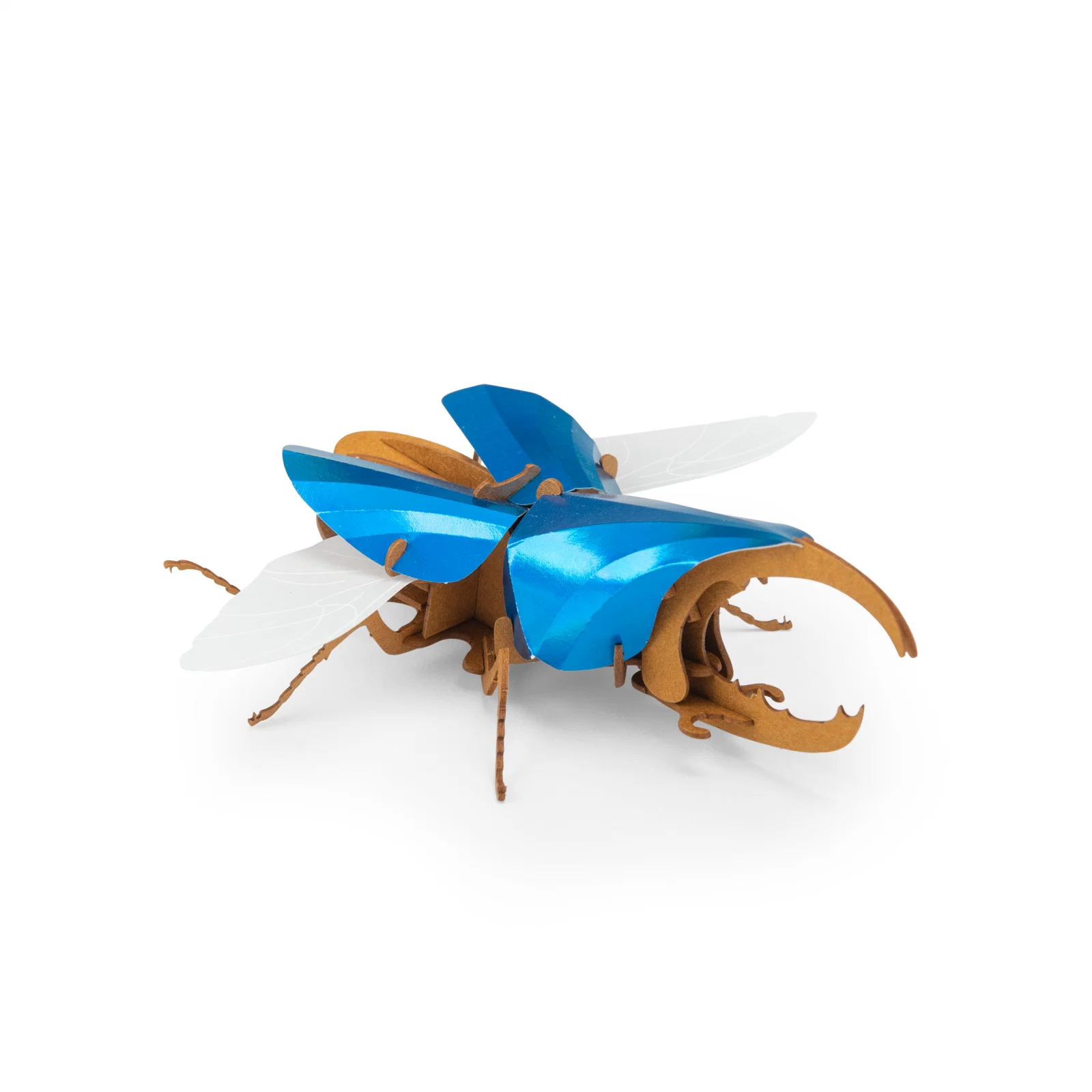 Hercules beetle 3D puzzle Tout autour du monde