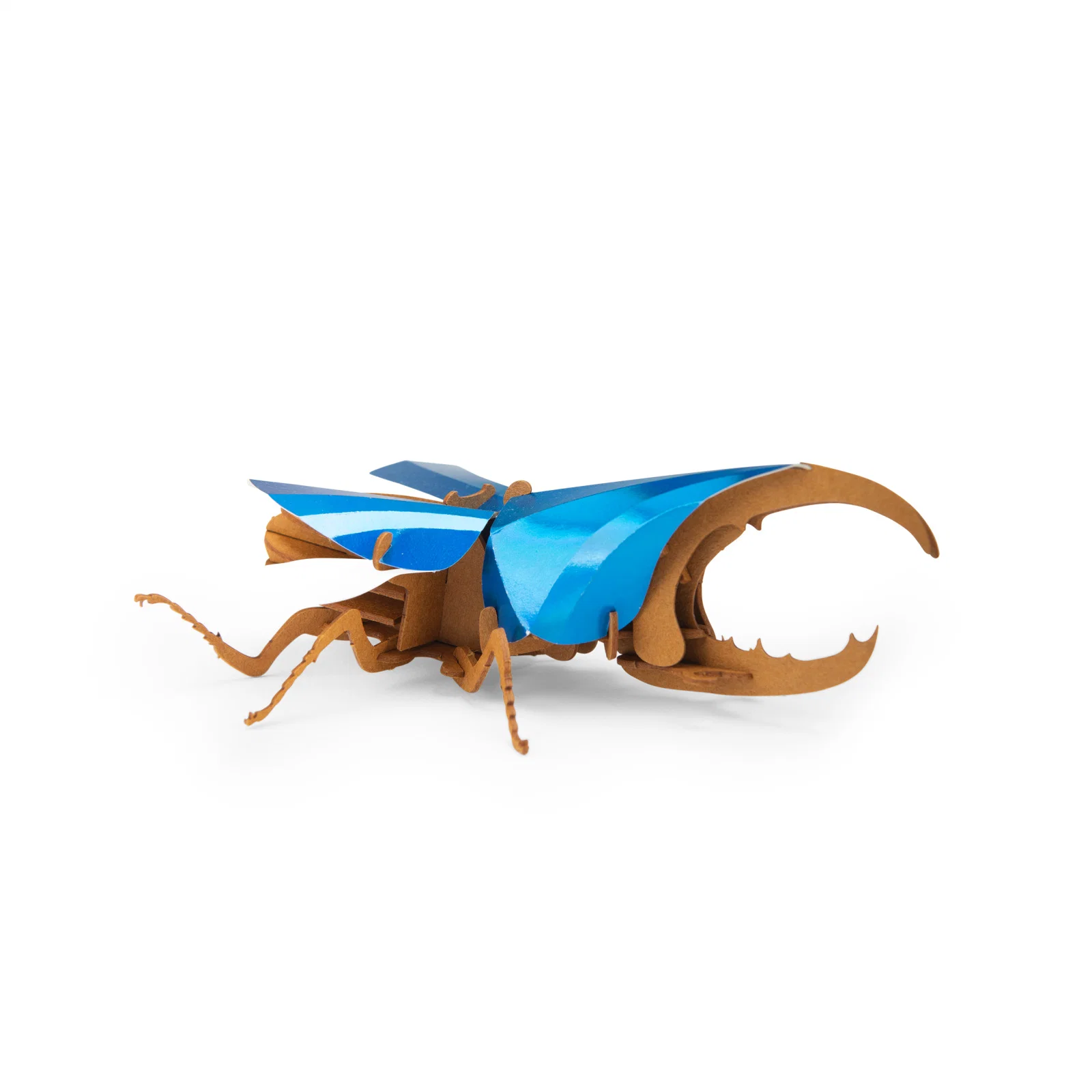Hercules beetle 3D puzzle Tout autour du monde