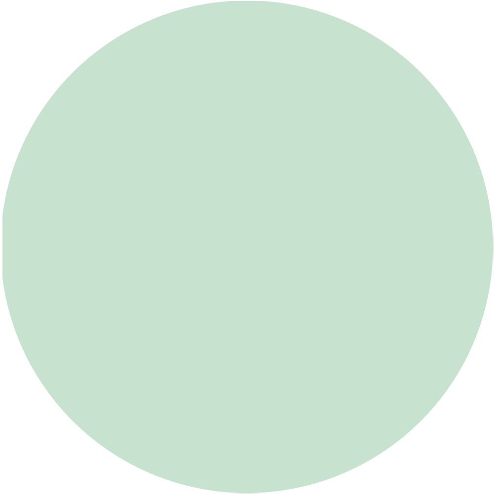 LIP BALM APPLE - AQUA