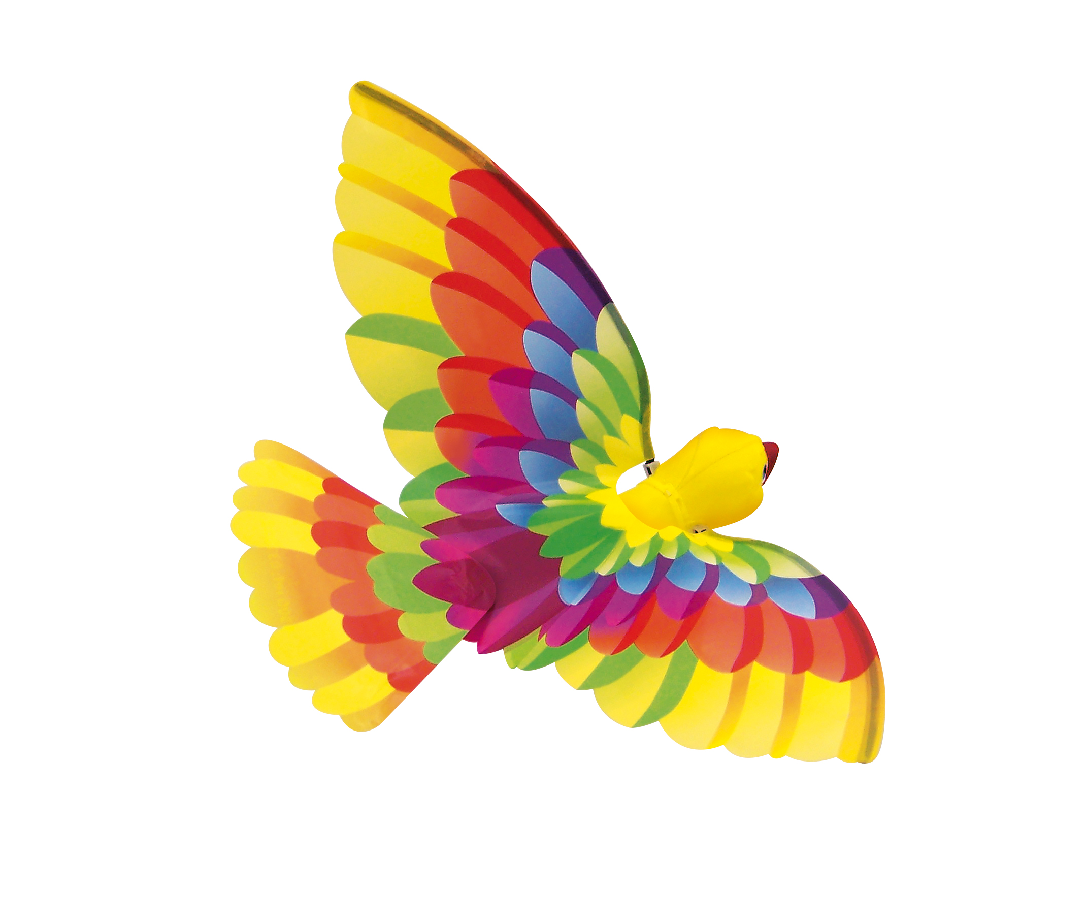TIMMY bird