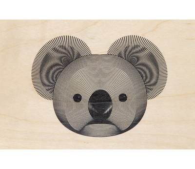 kort: animals koala