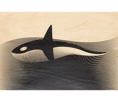 kort: animals orca