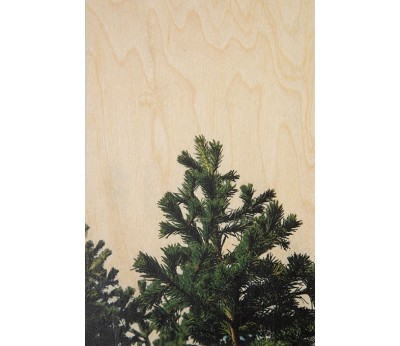 Kort: Greetings 2 Branch Xmas tree