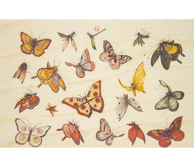 kort: bnf ornements papillons