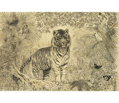 Kort: tiger