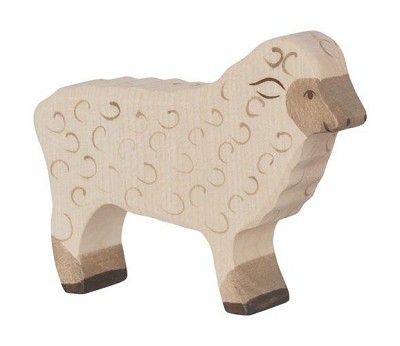 Sheep. standing