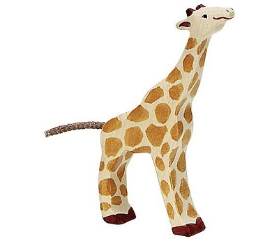 Giraffe. small. feeding