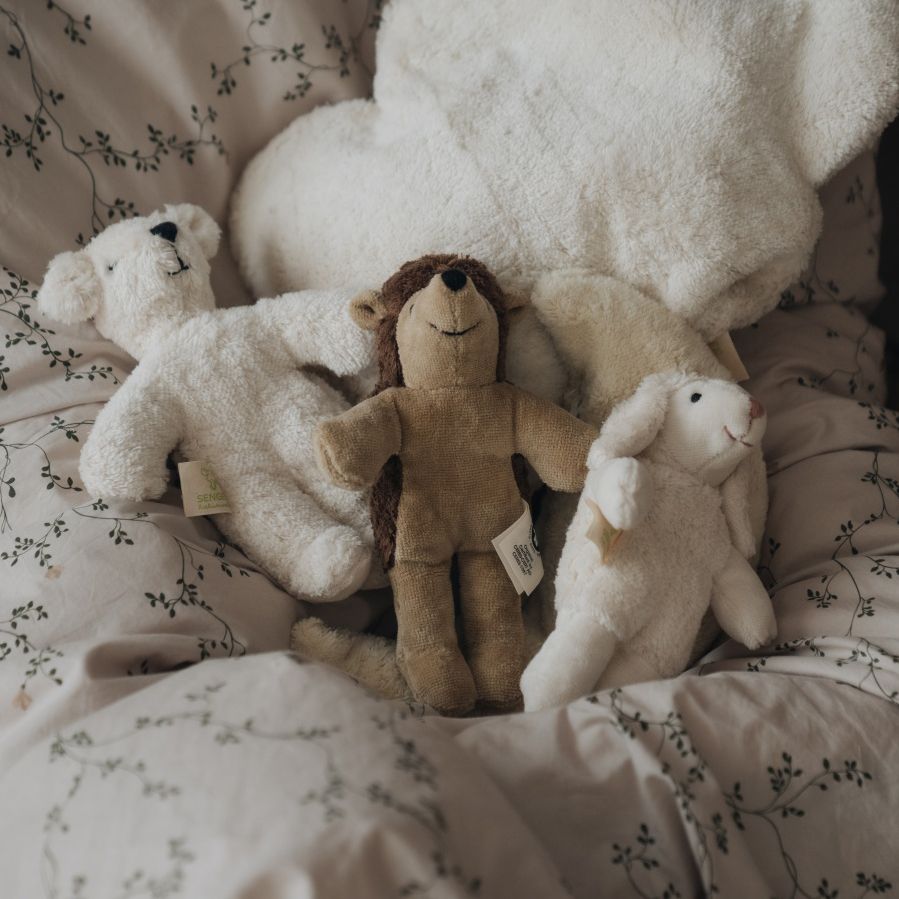 Animal Baby Bear | white