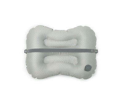 Seat Cushion - Have a seat Dino