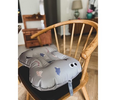 Seat Cushion - Have a seat Dino