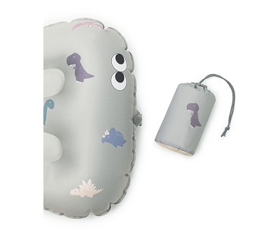 Seat Cushion - Have a seat Dino