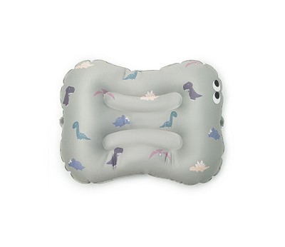 Seat Cushion - Have a seat Dino