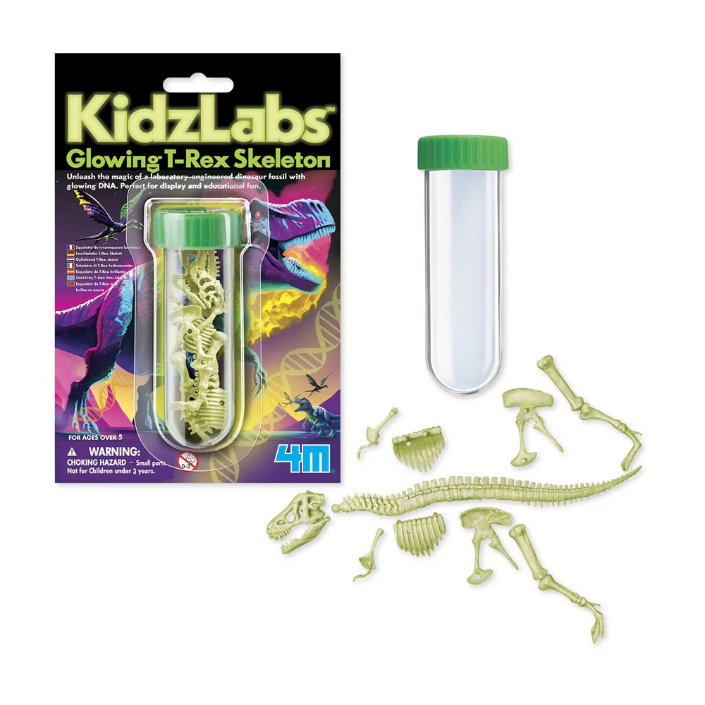 Aktivitetspakke. Glowing T-Rex Skeleton
